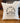 Into the Wild w/ City, State - Square Canvas Pillow