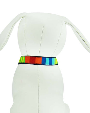 Party Stripes - Dog Collar