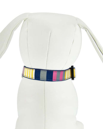 Sunshine Stripe - Dog Collar